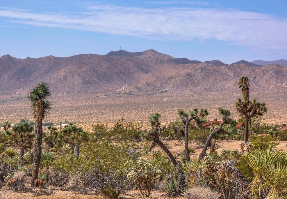 Jt Cottage Yucca Valley Exterior foto