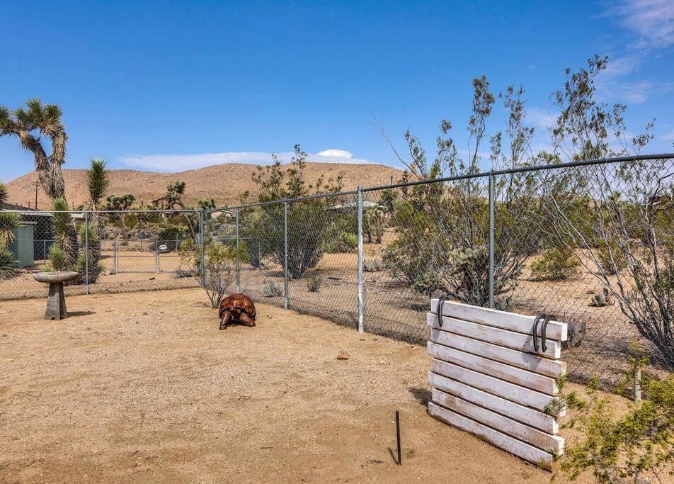 Jt Cottage Yucca Valley Exterior foto
